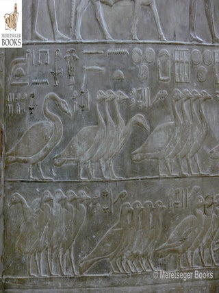 Ptahhetep-021