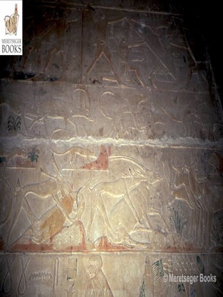 Ptahhetep-034