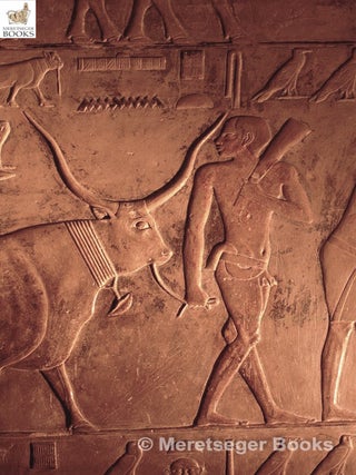 Ptahhetep-045