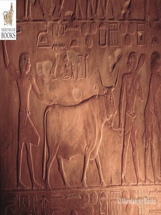 Ptahhetep-046