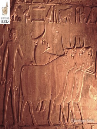 Ptahhetep-048
