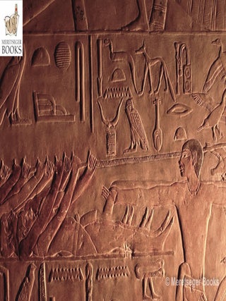 Ptahhetep-049