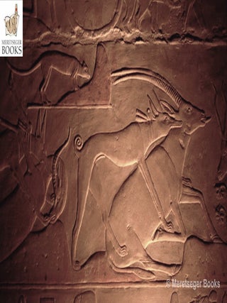Ptahhetep-050