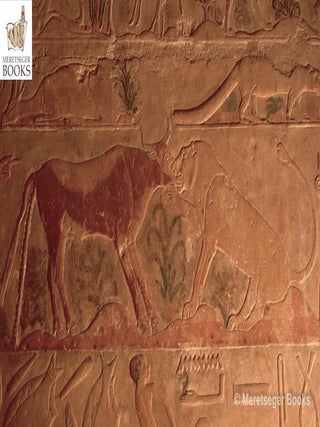 Ptahhetep-051