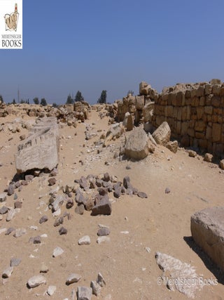 Abu Ghorab-Niuserre-004