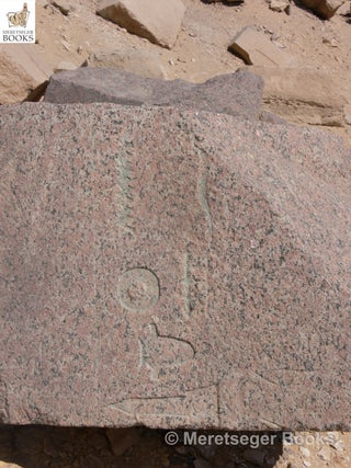 Abu Ghorab-Niuserre-019