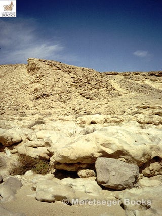 Wadi Gerawi-OK dam-004
