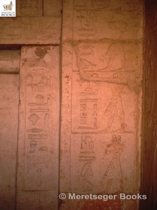 Seshemnefer II-006