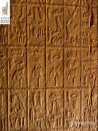 Nefer-007
