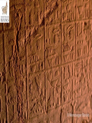 Nefer-008