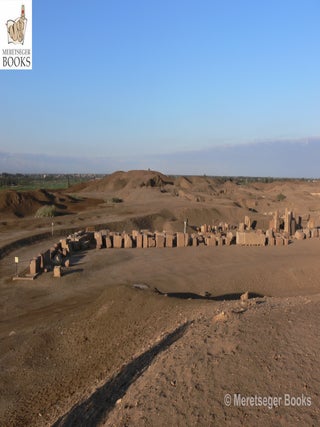 Tanis-Temple of Amun-001