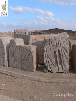 Tanis-Temple of Amun-004