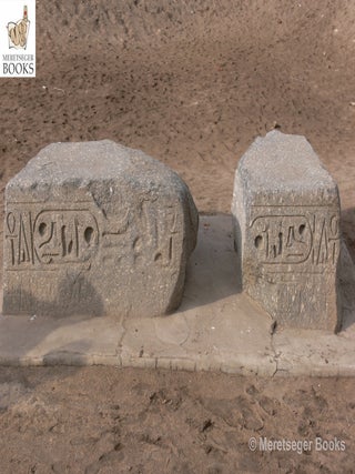 Tanis-Temple of Amun-005