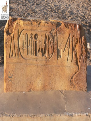 Tanis-Temple of Amun-006