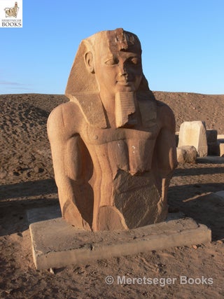 Tanis-Temple of Amun-009
