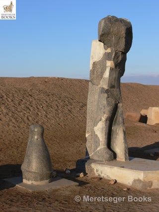 Tanis-Temple of Amun-010