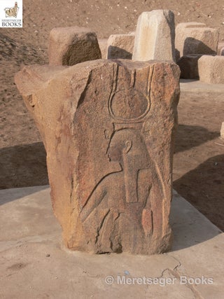 Tanis-Temple of Amun-011