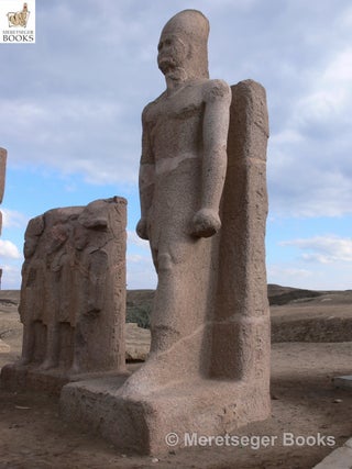 Tanis-Temple of Amun-014