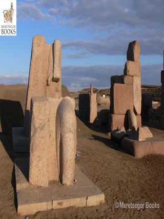 Tanis-Temple of Amun-015