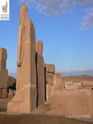 Tanis-Temple of Amun-018