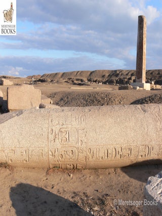 Tanis-Temple of Amun-043