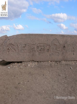 Tanis-Temple of Amun-044