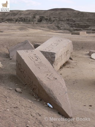 Tanis-Temple of Amun-045