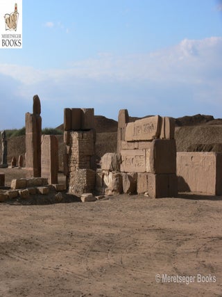 Tanis-Temple of Amun-047