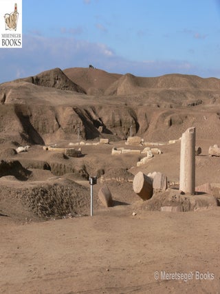 Tanis-Temple of Amun-048