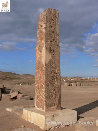 Tanis-Temple of Amun-049