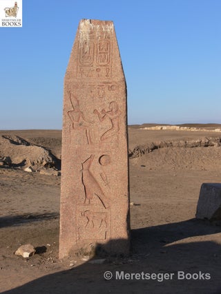 Tanis-Temple of Amun-050