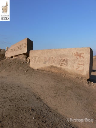 Tanis-Temple of Amun-051