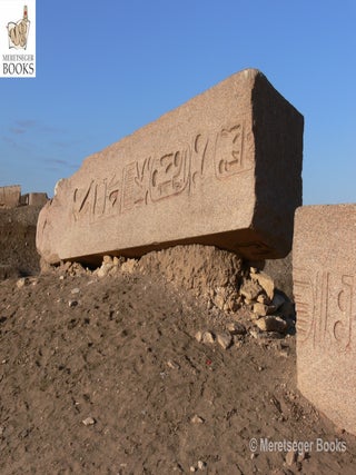 Tanis-Temple of Amun-052