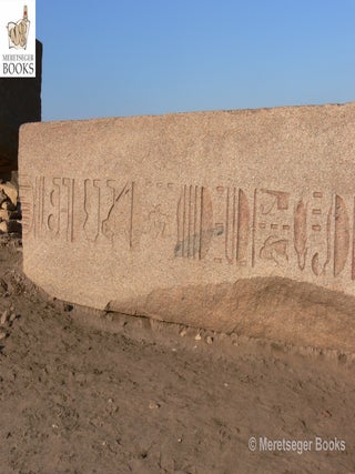 Tanis-Temple of Amun-053