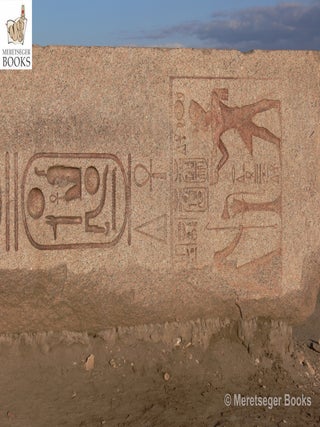 Tanis-Temple of Amun-054