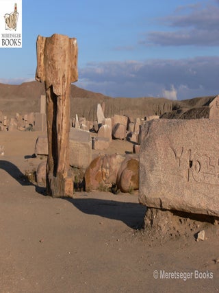 Tanis-Temple of Amun-056