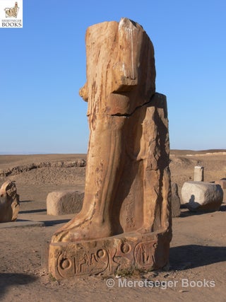 Tanis-Temple of Amun-059
