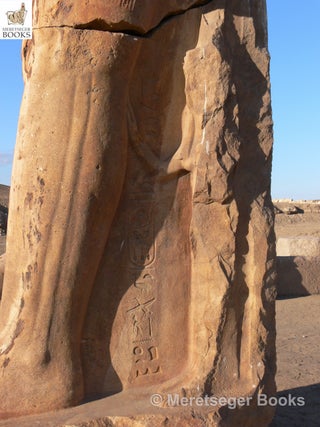 Tanis-Temple of Amun-060