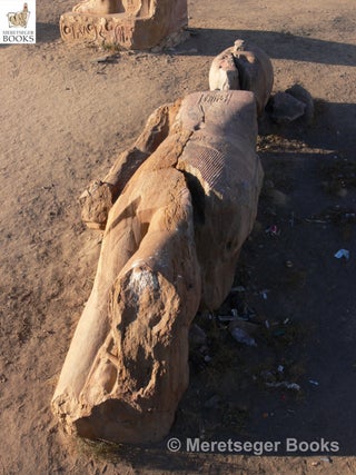 Tanis-Temple of Amun-064