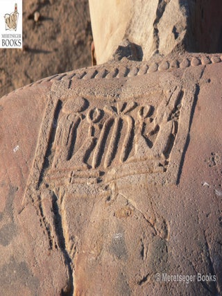 Tanis-Temple of Amun-066