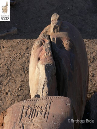 Tanis-Temple of Amun-067