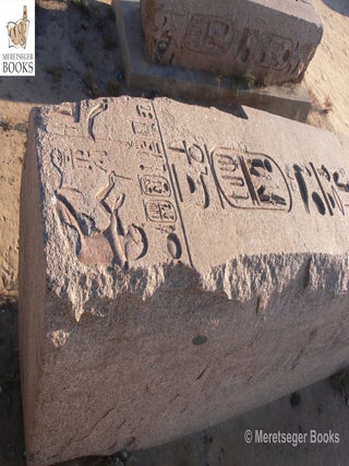 Tanis-Temple of Amun-071
