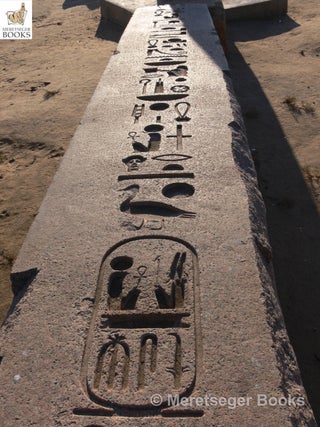 Tanis-Temple of Amun-072
