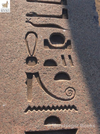 Tanis-Temple of Amun-075