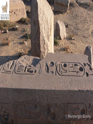 Tanis-Temple of Amun-076