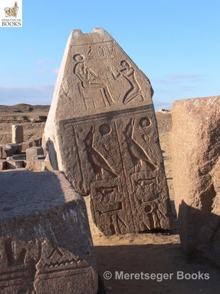 Tanis-Temple of Amun-080