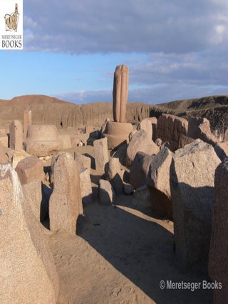 Tanis-Temple of Amun-082