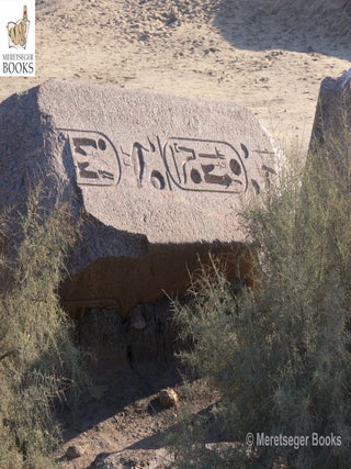 Tanis-Temple of Amun-089