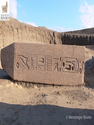 Tanis-Temple of Amun-091