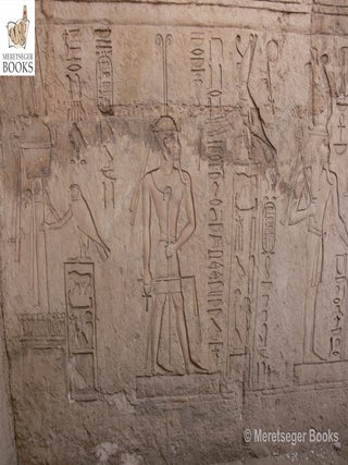 Tomb of Sheshonq III-010